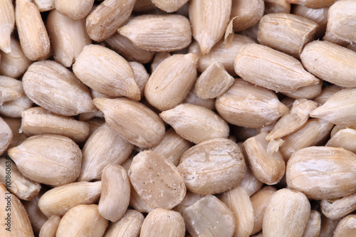 healthy sunflower seed as food background