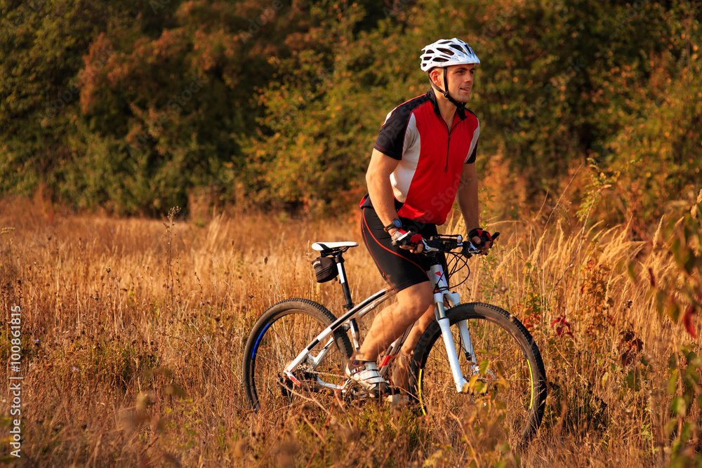 Rider on Mountain Bicycle it the forest