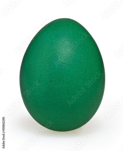 Green easter egg isolated on white background with clipping path