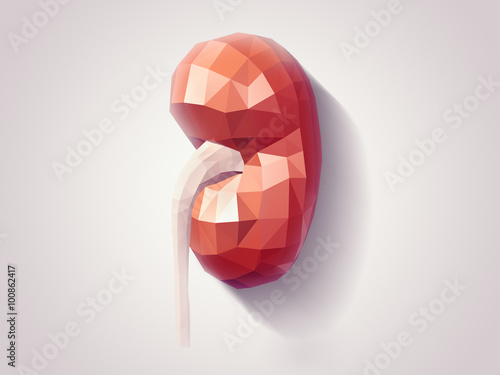 Kidney faceted photo