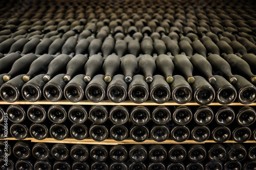 Bottle of wine in wine cellar