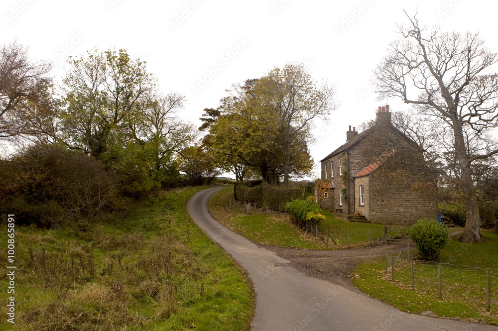 Around the Corner. A narrow one lane road is the only access to this rural area of England. Historical houses dot the countryside as the area has been farmed for centuries.
