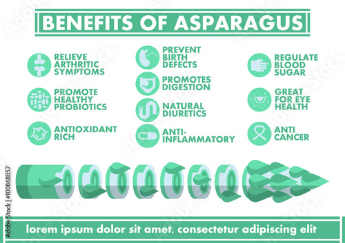Benefits of Asparagus Infographics - Vector flat design