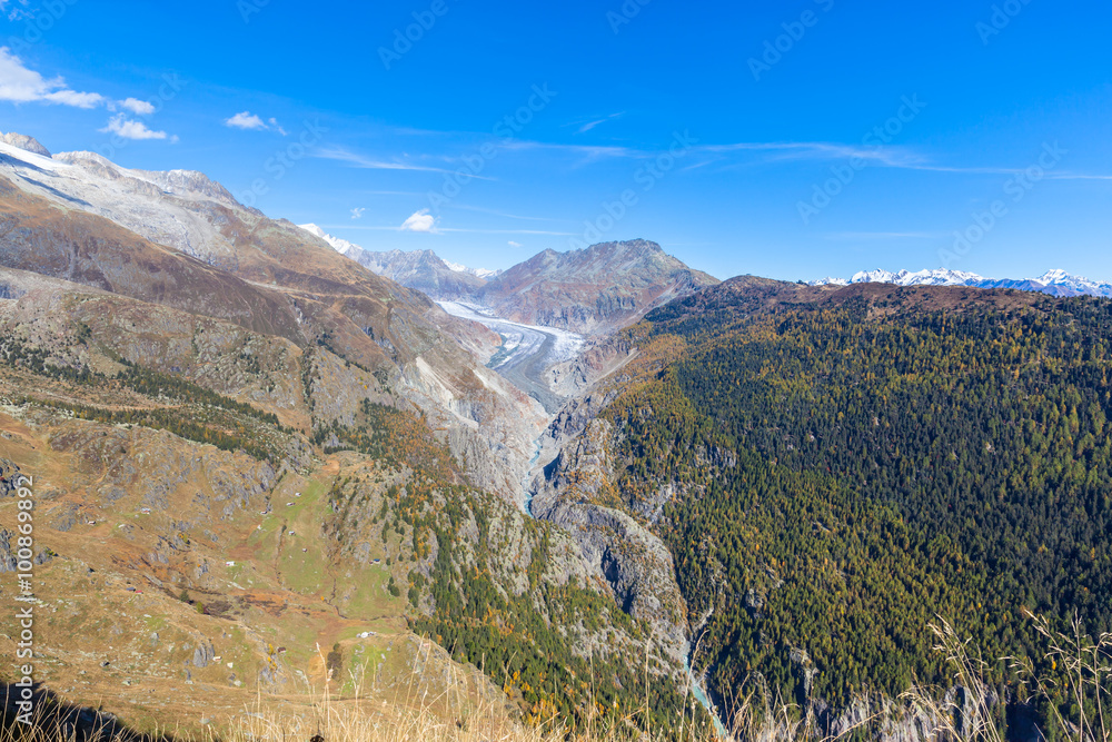 Naklejka premium Stunning view of Aletsch glacier and Eggishorn