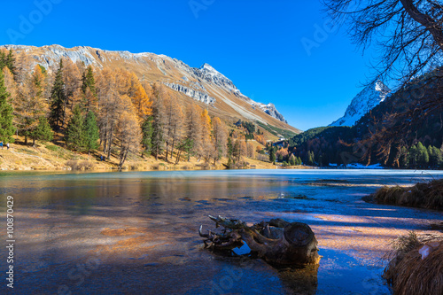 Beautiful view of Lake Palpuogna in autumn photo