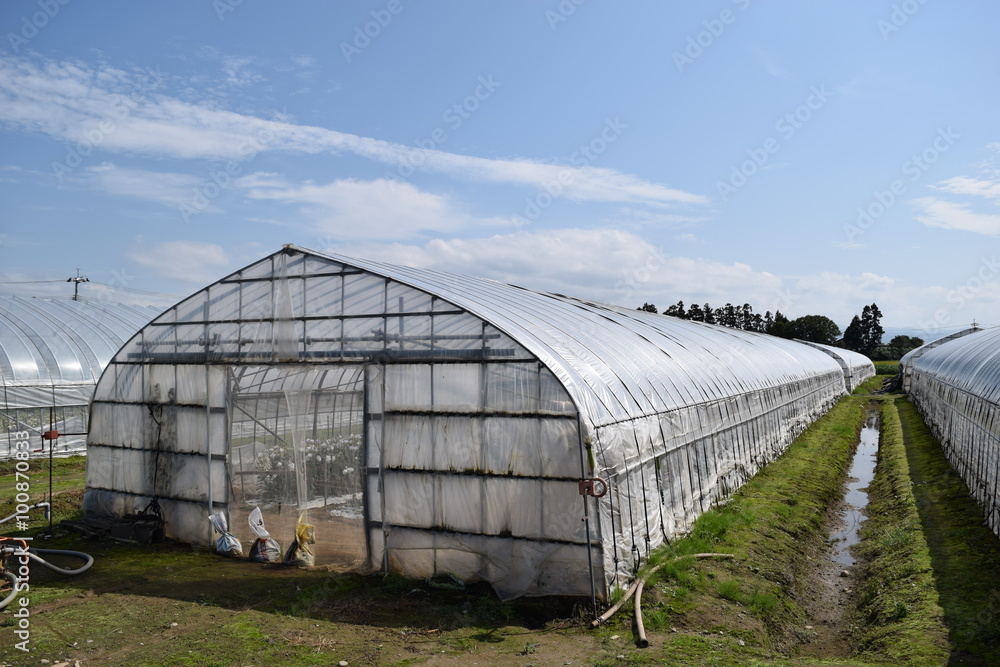 農業用ビニールハウス/山形県庄内地方の農村で、農業用ビニールハウスを撮影した写真です。 農業用ビニールハウス/山形県庄内地方の農村で、農業用ビニールハウスを撮影した写真です。
