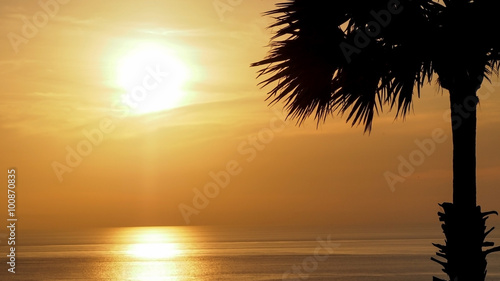 Silhouette palm tree with beautiful soft orange sky reflect the sea. Sunset in background. Abstract orange sky. Dramatic golden sky at the sunset background.