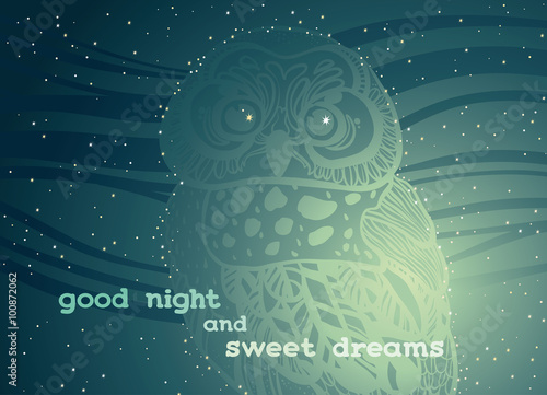 Night sky with owl - sweet dreams.