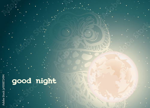 Night sky and owl - good night.