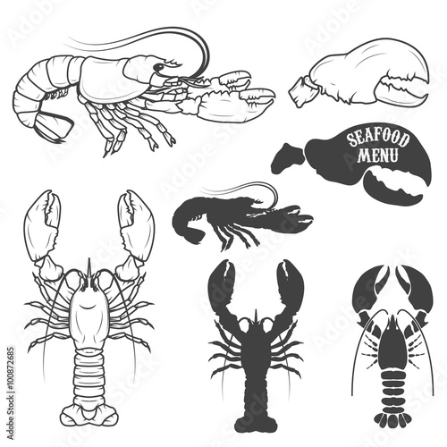 Set of the lobsters illustrations in vector.