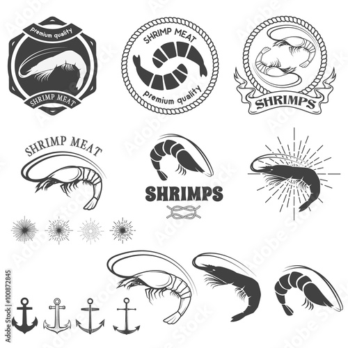 shrimps meat. Shrimps in vector.
