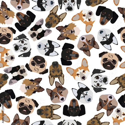 flat seamless pattern pedigree dogs