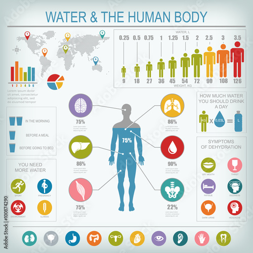 Water and human body infographic
