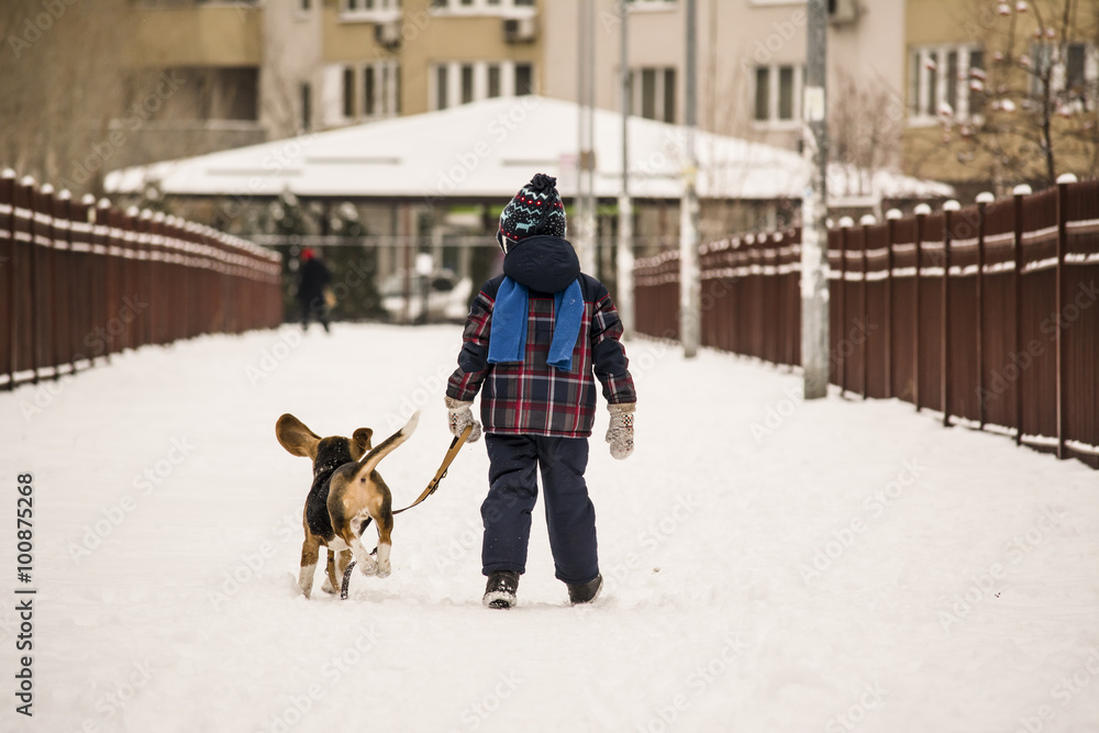 beagle dog and boy in winter snow