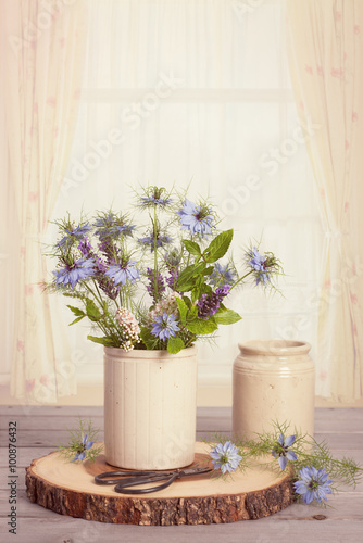 Cornflowers In Ceramic Pots