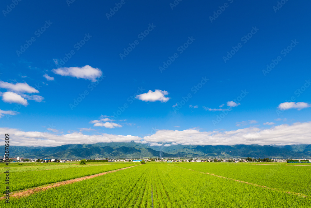 信州　安曇野の田園風景