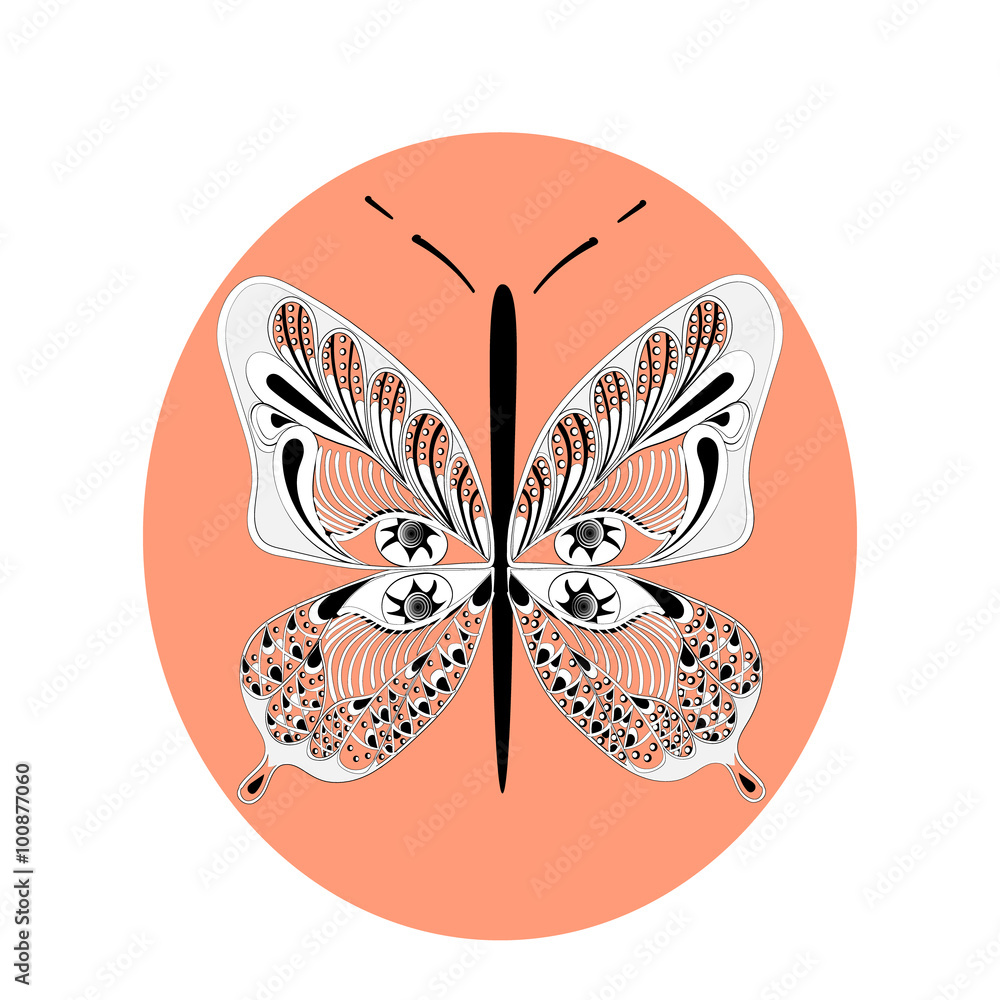 butterfly butterfly