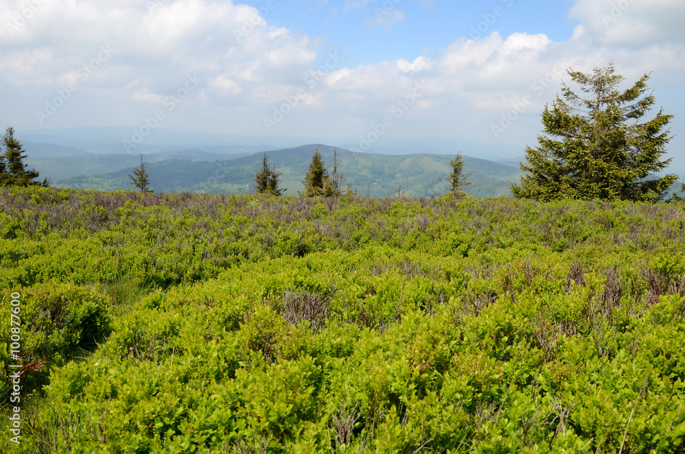 Mountains in Slovakia (Slovenské Beskydy)