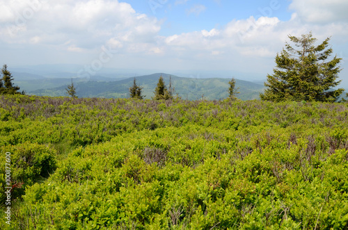 Obraz na płótnie Mountains in Slovakia (Slovenské Beskydy) w salonie