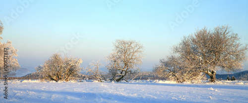 Wallpaper Mural Winter meadow in Table Mountains in Poland Sudetes by early morning. Torontodigital.ca