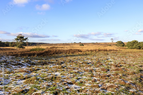 Obraz na plátně Winter op het Rozendaalse veld