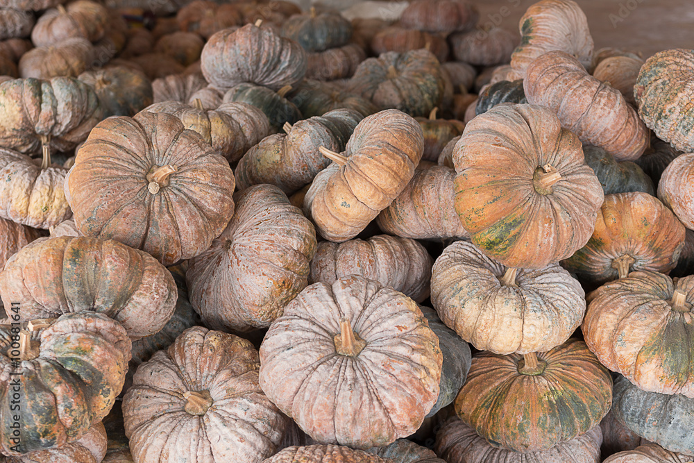Pumpkin in agricultural  market