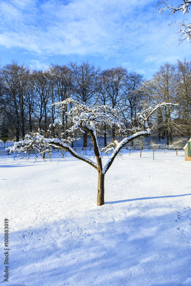 Fototapeta premium De heide en zandverstuiving van het Rozendaalse veld bij Annhem