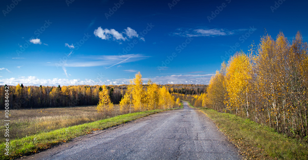 Autumn road under the blue sky