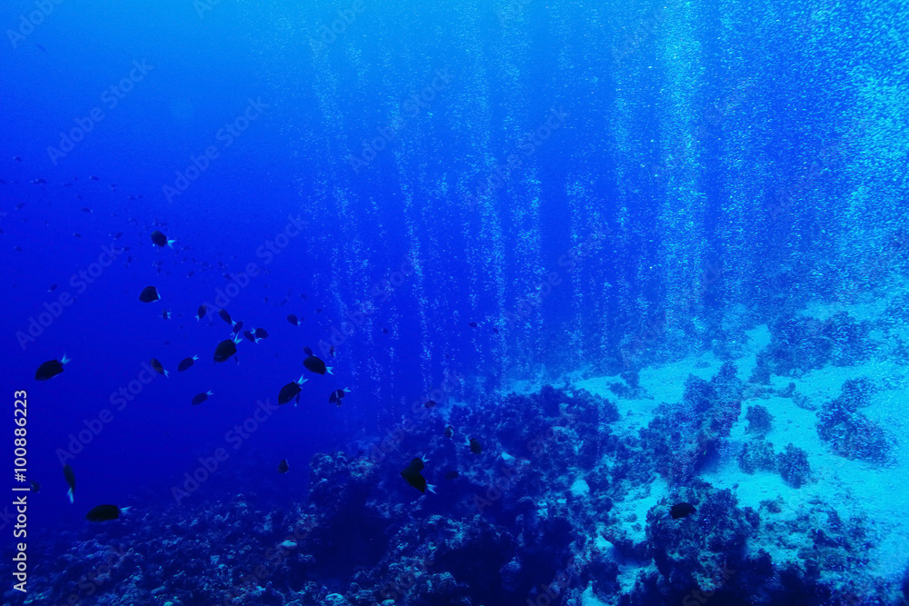 Obraz premium Texture sea water underwater