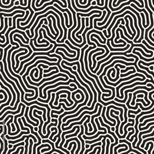 Vector Seamless Black and White Wavy Organic Rounded Line Maze Coral Pattern