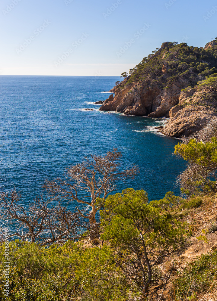 Typical beautiful wild Costa Brava coastline, Catalonia