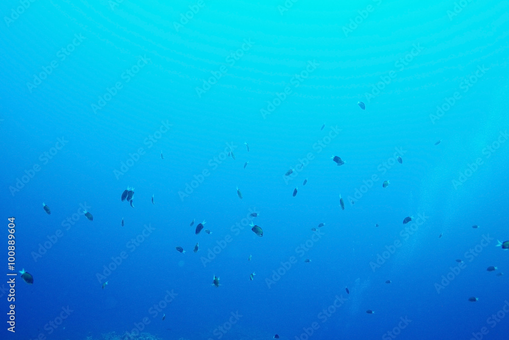 Texture sea water underwater Texture sea water underwater