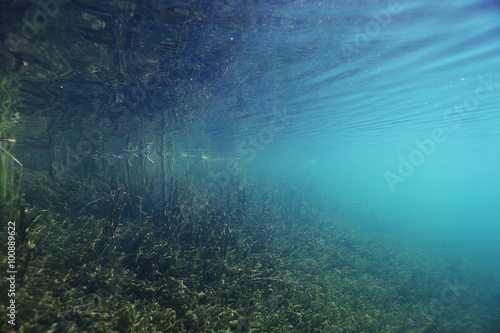 underwater scenery in the river diving
