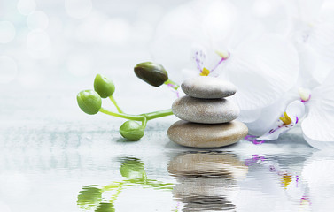 Wandcirkels Toilet Orchidee op water met spa stenen  © marrakeshh