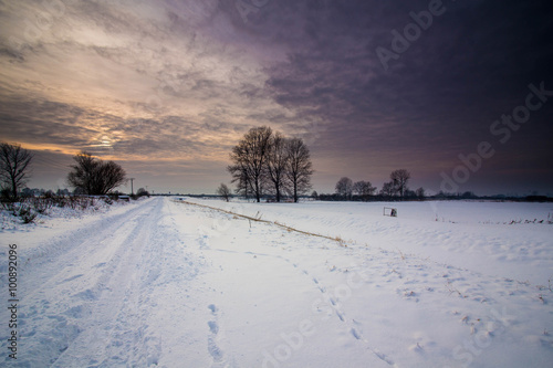 Winter landscape of frosty trees © R_Szatkowski