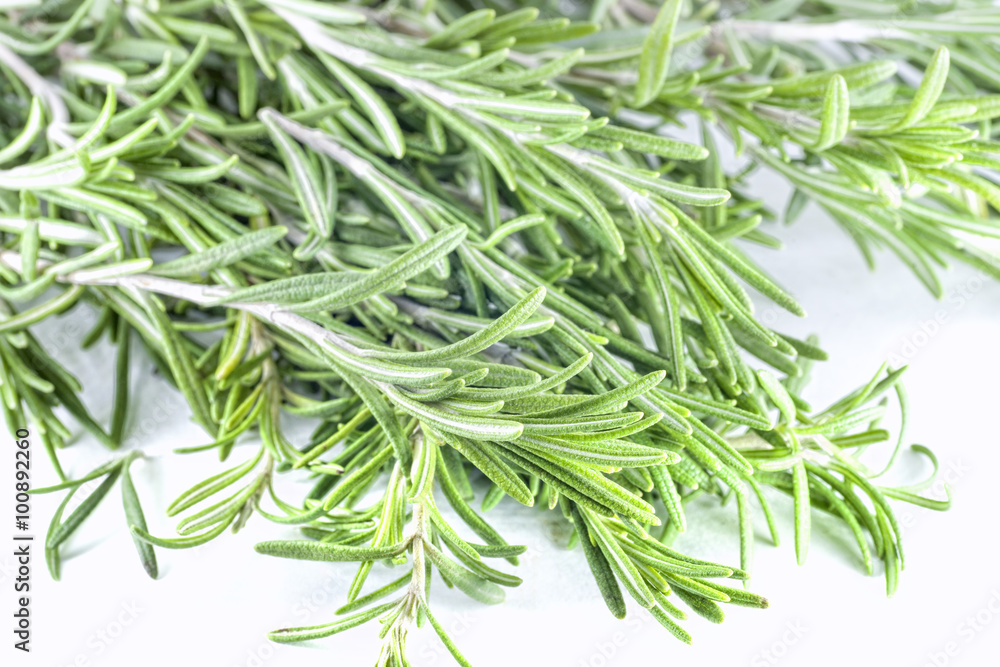A bunch of fresh rosemary on white background A bunch of fresh rosemary on white background