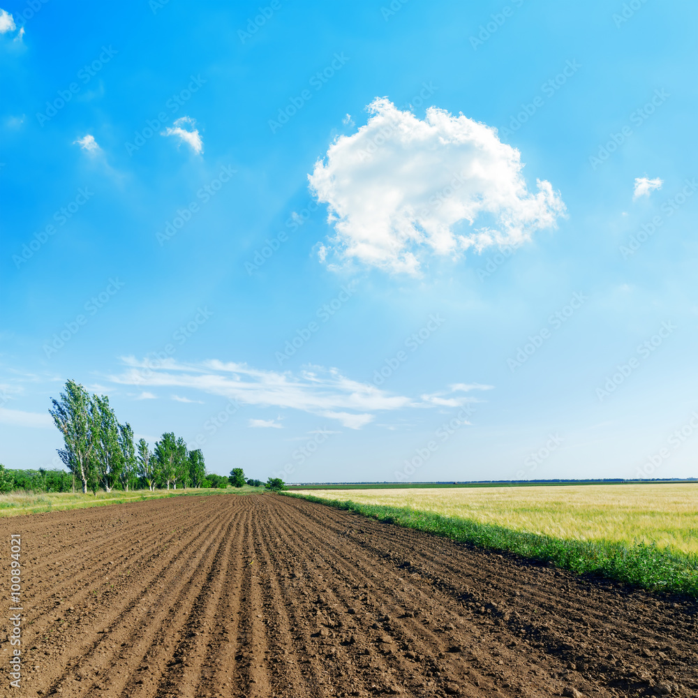 white cloud in blue sky over black agriculture field white cloud in blue sky over black agriculture field
