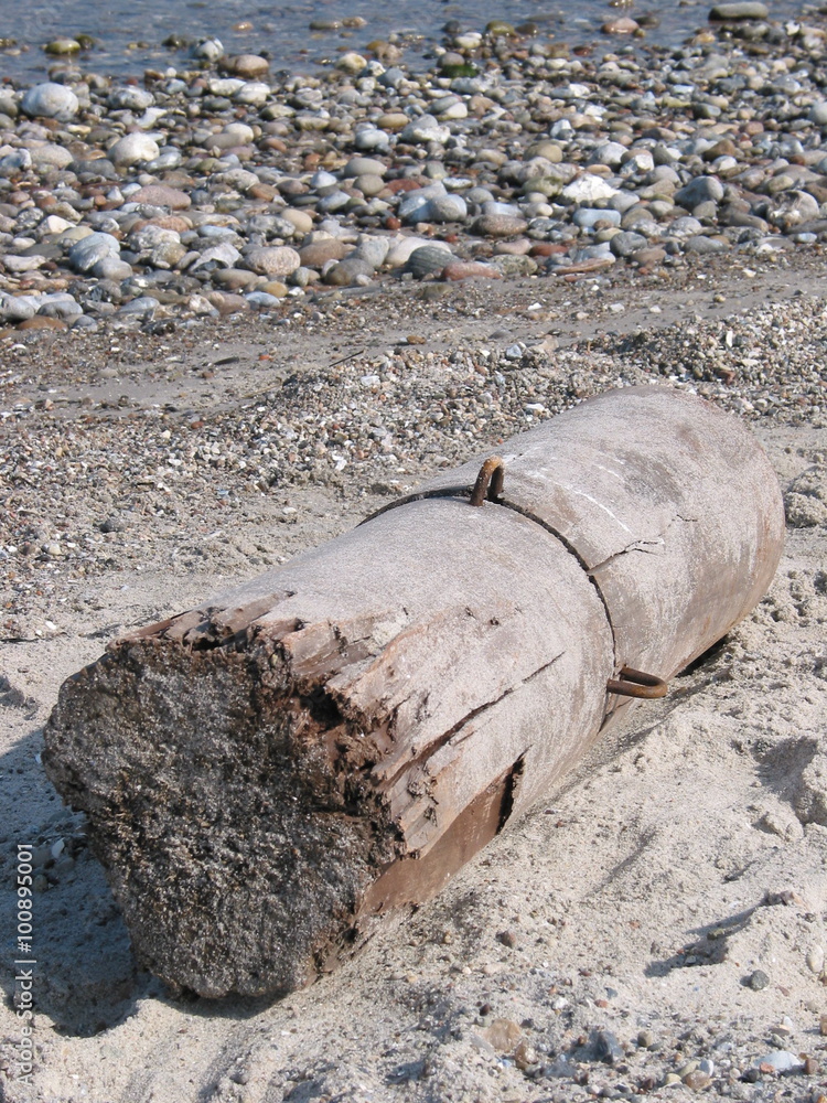 Obraz premium Holzklotz an der Kieler Bucht bei Heidkate, Ostsee