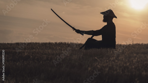 Принти на полотні Samurai
