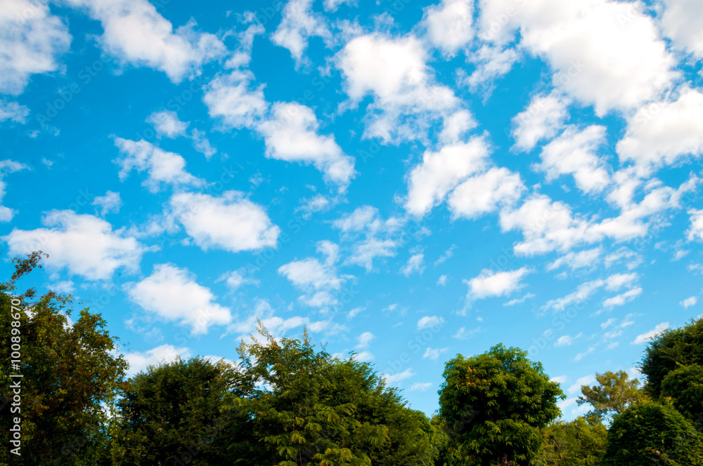 White Clouds and Blue Sky