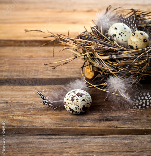 quail eggs with feather on wooden background