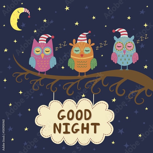Good night card with cute sleeping owls. Vector illustration