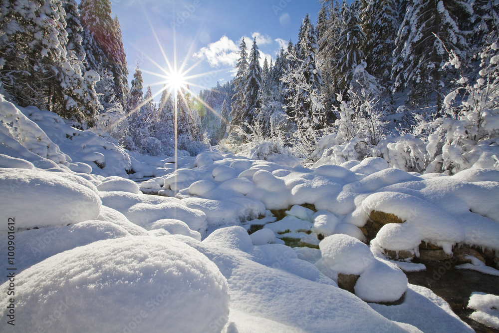 Fototapeta premium Winterzauber am Zauchbach