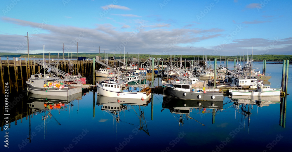 Boats in the harbour at low tide in Digby, Nova Scotia.   Nova Scotia summer, late afternoon with evening approaching.   Boats tied up in low tide, in for the day.  Sunshine on calm coastal water.