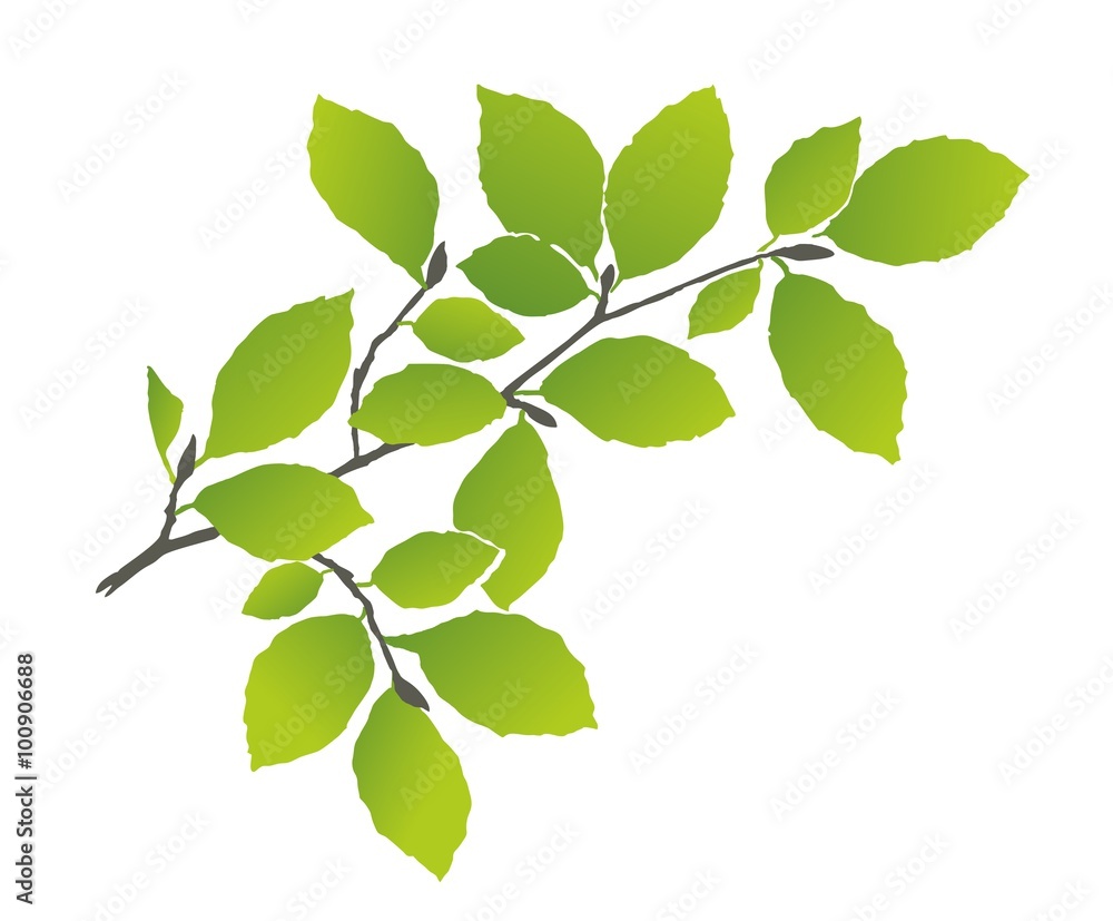 Obraz premium zweig2301c