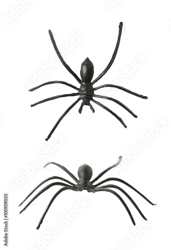 Fake rubber spider toy isolated