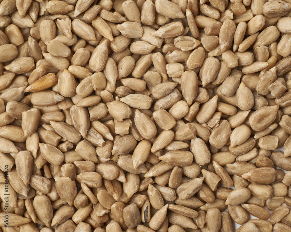 Surface covered with sunflower seeds Surface covered with sunflower seeds