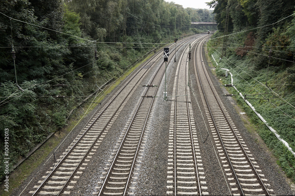 Fototapeta premium Railroad with four tracks trough a forest in Germany