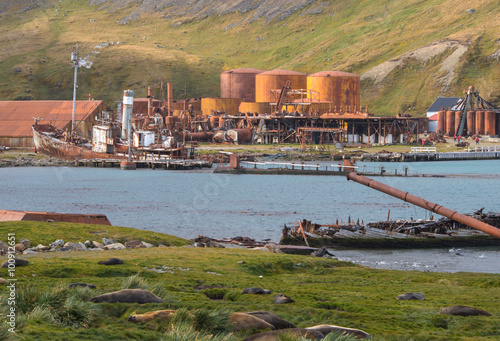 Old relic shipwreck in Grytviken, South Georgia Island photo