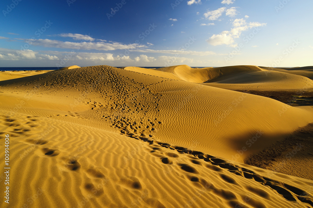 Maspalomas Beach. Gran Canaria.